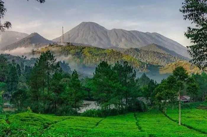 Natural Destinations in Bogor